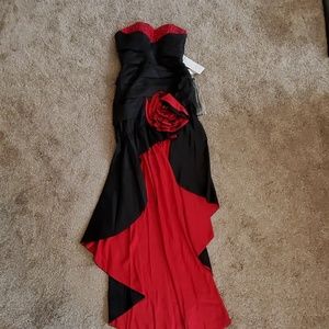 Gorgeous Formal dress